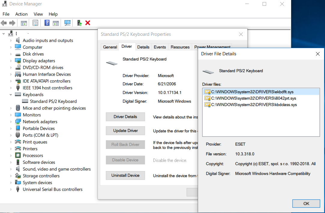 Eset_Keyboard_Driver.png